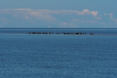 Der Weg bis Haapsalu